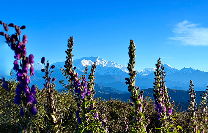 Sandakphu Trek
