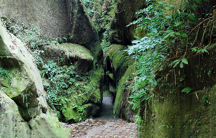 Yelbong Hike