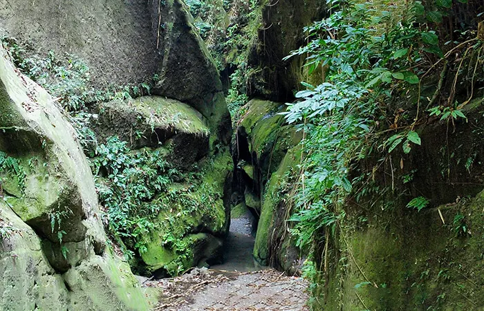 Yelbong Hike
